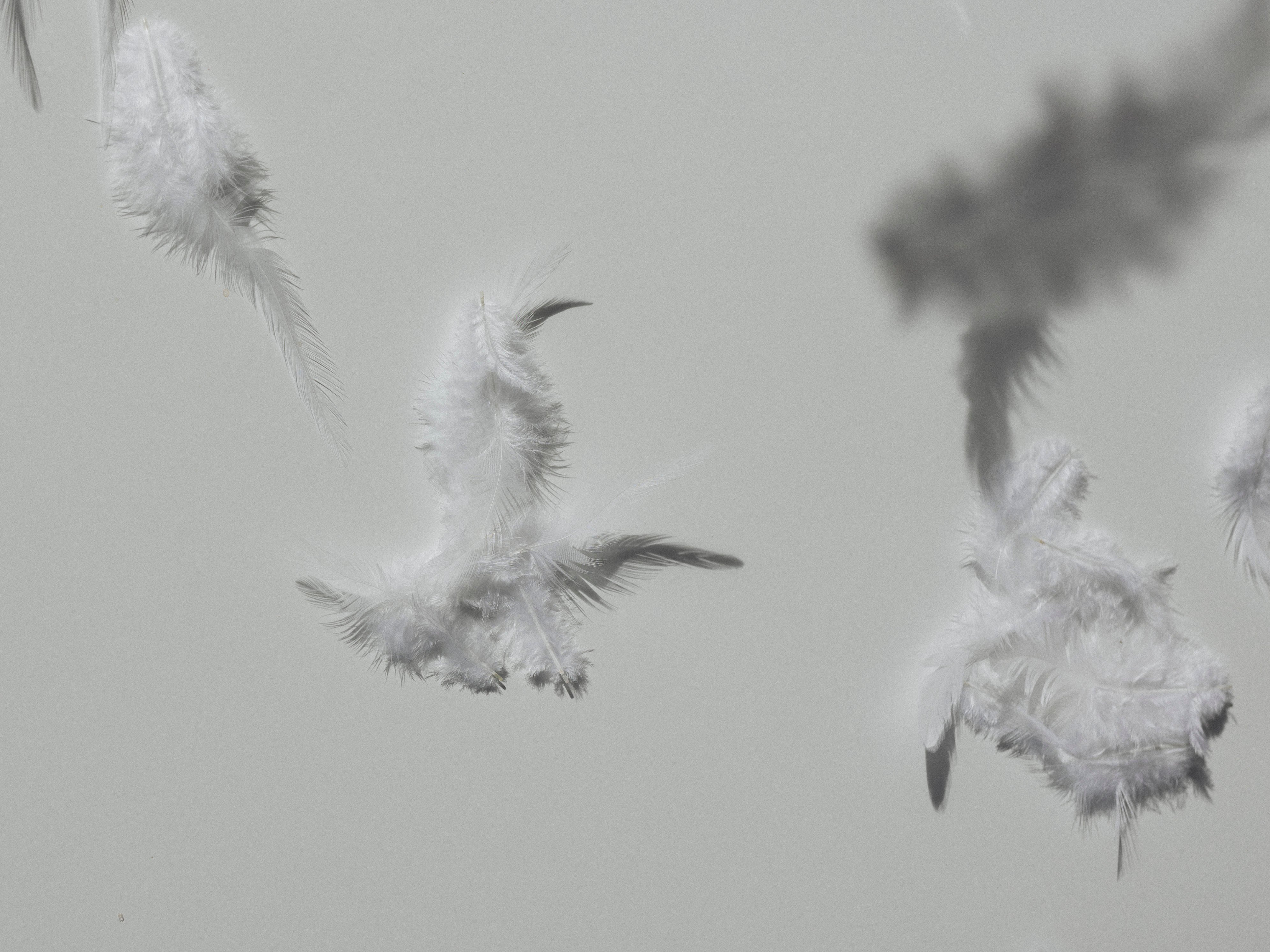 Was du über Depressionen wissen solltest